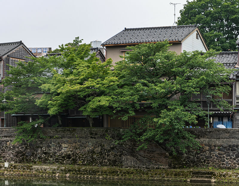 一戸建て