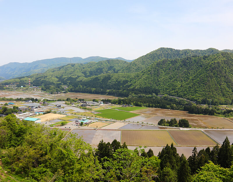 分析と考察のまとめ