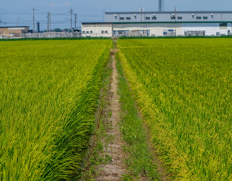 理由4【他社ではNGの不動産もお任せ】老朽化した空き家、使われていない農地の売却など他社で断られがちな不動産もご対応します