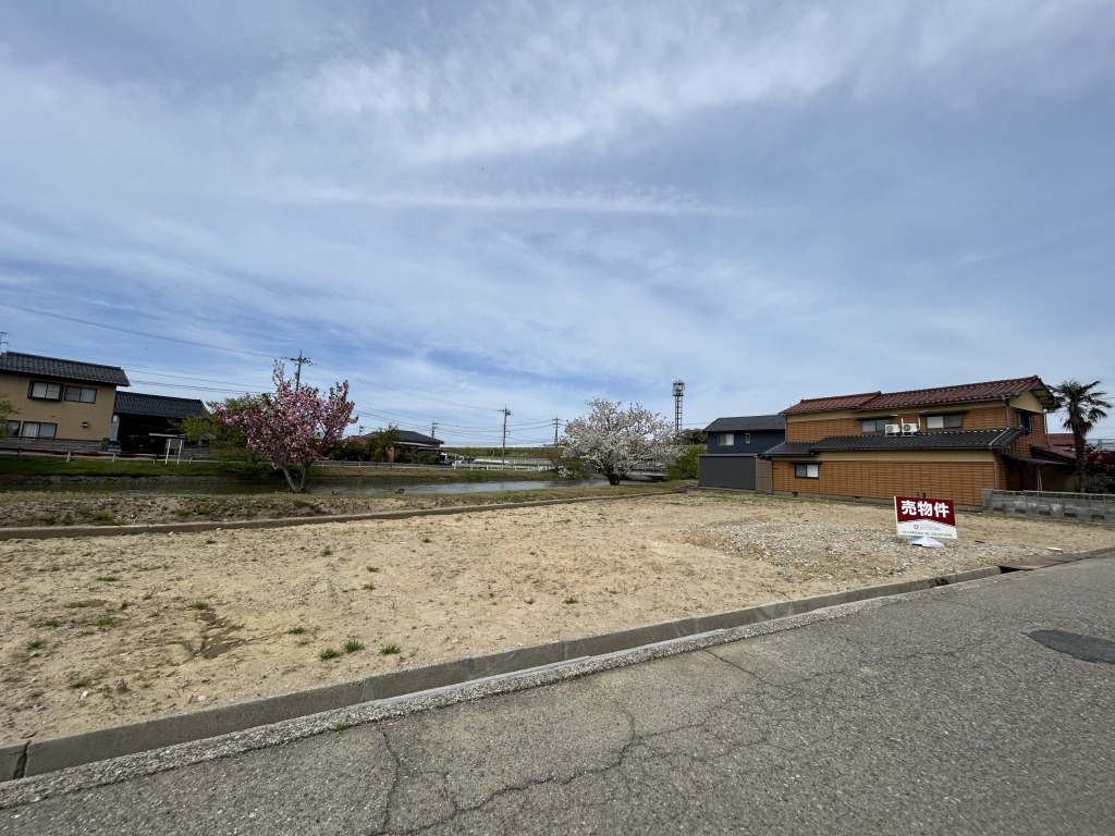 川沿いに肩を並べる2本の桜🌸